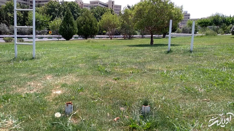 داستان کلاغ ها اثر علی داوری سرقت شده